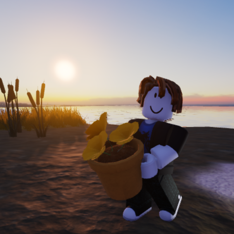 A Bacon Hair Roblox character holding a pot containing California Poppies.